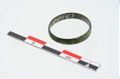 Foto von Bronzering (NHMW-PRAE-024621)